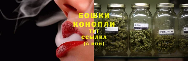 PSILOCYBIN Армянск
