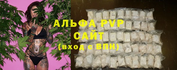 эйфоретик Арсеньев