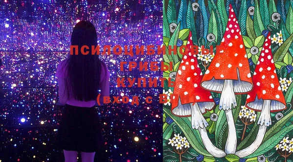 PSILOCYBIN Армянск