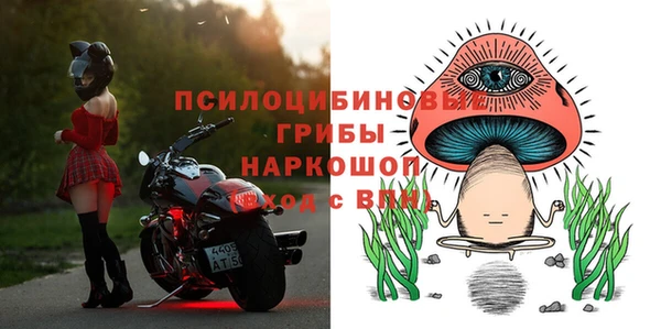 PSILOCYBIN Армянск